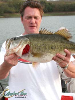 men_29